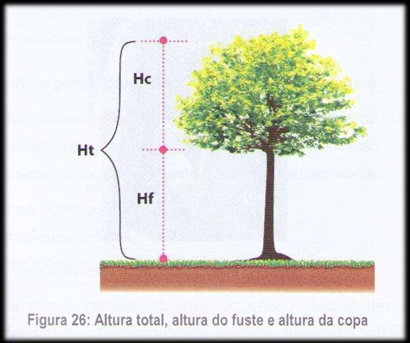 Alturas -