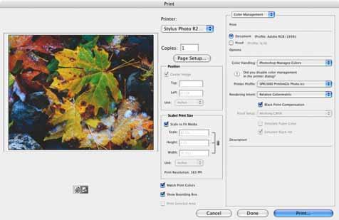 9. Execute um dos seguintes procedimentos: Photoshop CS3: Selecione Stylus Photo R2880 na lista de Impressora, se necessário, depois selecione Color Management (Gerenciamento de Cores).