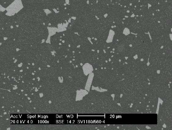 As sinterizações produziram microestruturas aceitáveis e densidades de 98% da densidade do material (8,16 g/cm 3 ). As figuras 1 e 2 mostram micrografias de MEV dos materiais.