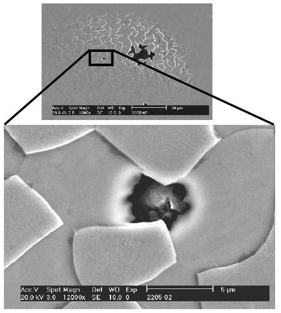 Fonte: Bo DENG, 2008 Figura 15 - Superfície de amostra do aço UNS