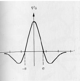 Detectores de borda com 2 a Derivada 2D Laplaciano do Gaussiano (LoG) Para reduzir o efeito do ruído, a imagem é primeiramente