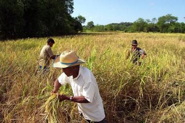 A cidade passa a ser o local dessas transformações, conforme as técnicas agrícolas se ampliam.