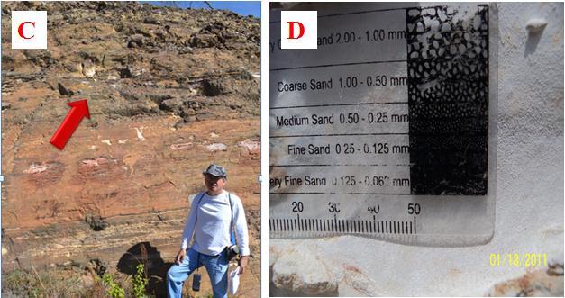 30 Fotos 06 e 07: Em sequência início do acrescimo de lama (C) e tamanho dos grãos (D), no afloramento da Formação