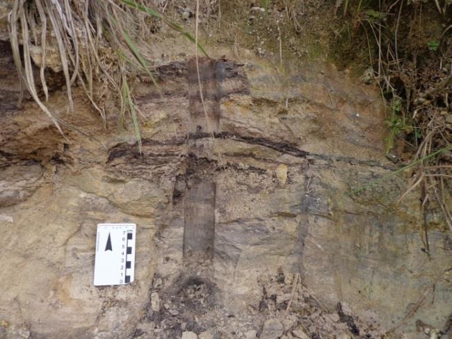 Pode se observar neste geossítio dois pacotes sobrepostos, o basal de granulometria fina composto por argilito, siltito e arenito fino indica um paleoambiente tranquilo de deposição, e o pacote