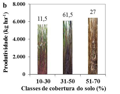 Figura 6. Produtividade e porcentagem de lavouras de milho safrinha em função do tipo de solo (a) e cobertura do solo (b), em Mato Grosso do Sul, 2013.