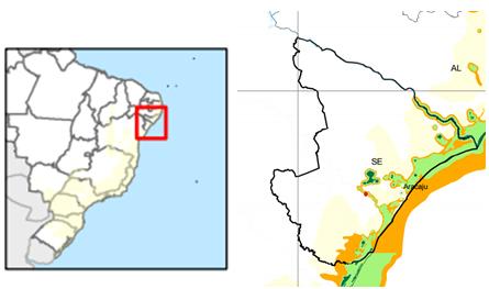 diversidade de espécies e habitat, além da sua importância nos processos biológicos dos ecossistemas naturais (THOMANZINI; THOMANZINI, 2002).