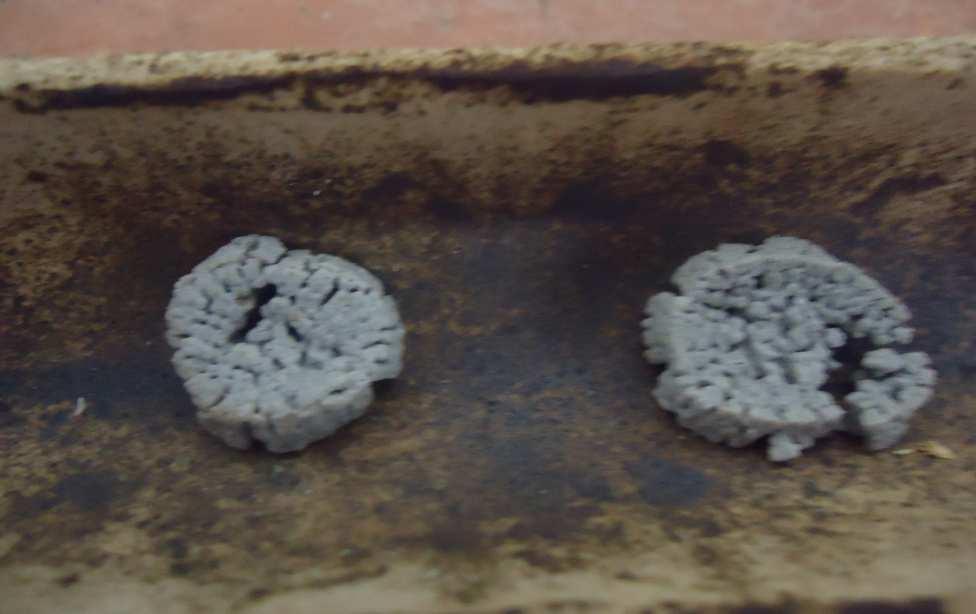 81 Figura 34 Pastilha Carvão Capim Elefante, antes e depois do ensaio de Reatividade, temperatura: 1100 C, tempo: 2 horas, atmosfera de CO 2 Pastilhas desvolatilizadas: As pastilhas desvolatilizadas