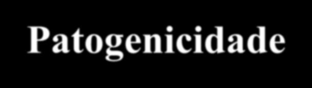 PRINCIPAIS CARACTERÍSTICAS DOS RSS RESÍDUOS PERIGOSOS CLASSE I Características Patogenicidade: presença de agentes