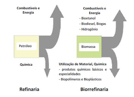 Os biocombustíveis (bioetanol, biodiesel), bioenergia (calor e energia) e os bioquímicos (ácidos e materiais).