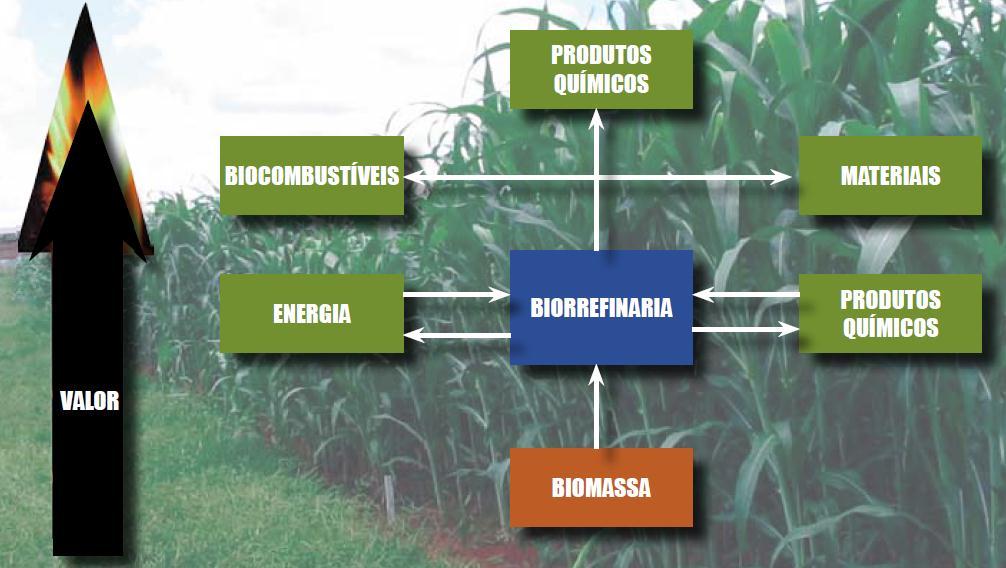 Eficiência Energética e Oportunidades para as Biorrefinarias na Indústria Brasileira de Celulose e Papel 5 dos setores sucroalcooleiro e celulose e papel, respectivamente, bagaço de cana e licor