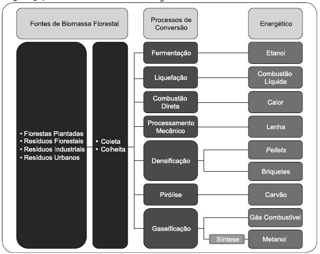 Fonte: Embrapa Agroenergia, 2012 A Figura 5 ilustra as possíveis vias de valorização energética da biomassa e seus principais produtos, que incluem não somente energia, mas também açúcares