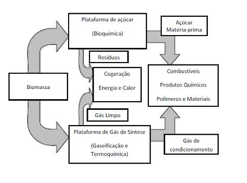 Eficiência Energética e Oportunidades para as Biorrefinarias na Indústria Brasileira de Celulose e Papel 7 licor negro e resíduos de madeira da indústria de celulose.