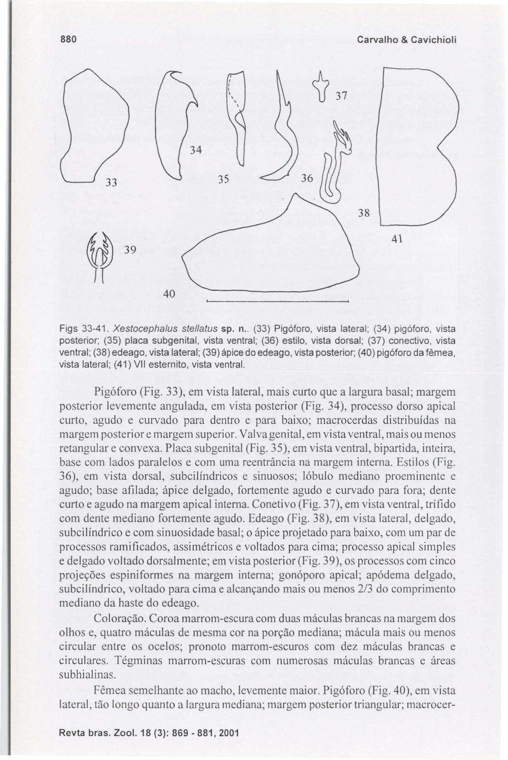 880 Carvalho & Cavichioli, '.,, ~ 37 35 36 38 ~ 39 41 40 Figs 33-41. Xestocephalus stellatus sp.