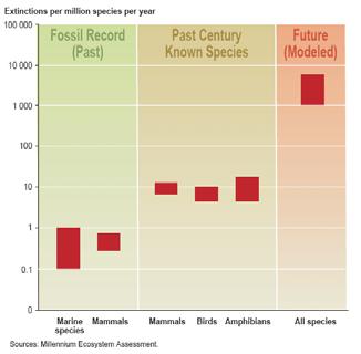 pode aumentar mais 65% até 2050 Mudanças significativas e geralmente irreversíveis para a diversidade das espécies A distribuição das espécies no planeta está se a tornar mais homogénea A taxa de