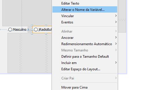 Componentes de Formulário: Radio Button (JRadioButton) - Adicionar componente