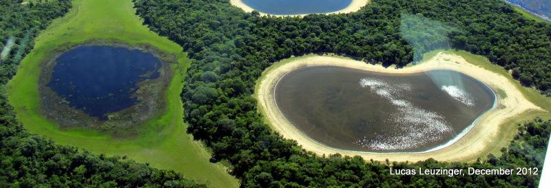 ... solos salinos PANTANAL CAMPOS SULINOS SE MT, NO MS clima sazonal tropical 1250-2000 mm anuais depressão inundável