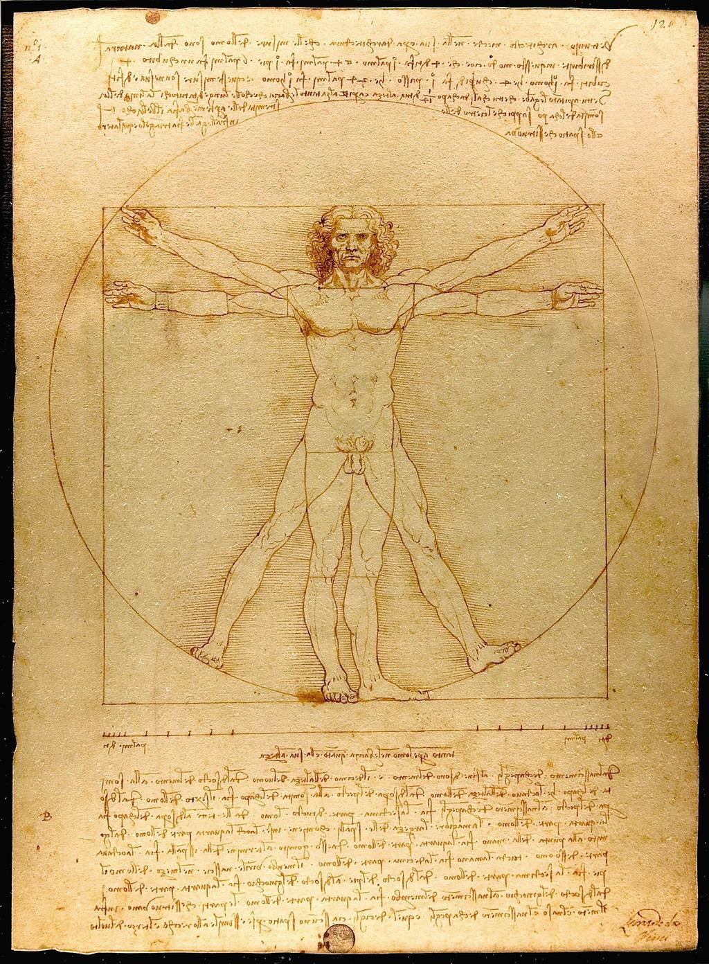 Desenho de Leonardo da Vinci, de 1492.