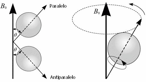 INTRODUÇÃO 15 a FIGURA 15. Núcleos de 1 H. a) movimentos aleatórios na ausência de um campo magnético externo B. b) núcleos com alinhamento paralelo ou antiparalelo na presença de B. b a FIGURA 16.