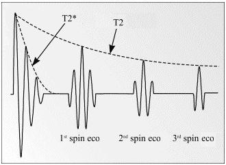 Esta seqüência de pulsos possui dois componentes temporais: o tempo de repetição (TR), que separa dois pulsos consecutivos de 9º e o tempo de eco (TE), que separa o pulso de 9º da leitura do eco.