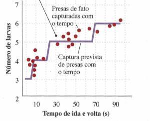 Dormência, hibernação Saída da dormência sinais ambientais Fotoperíodo indicação de diversas