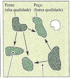 Permeabilidade da matriz Distribuição de uma espécie na paisagem ecologia da paisagem Previsão de impactos