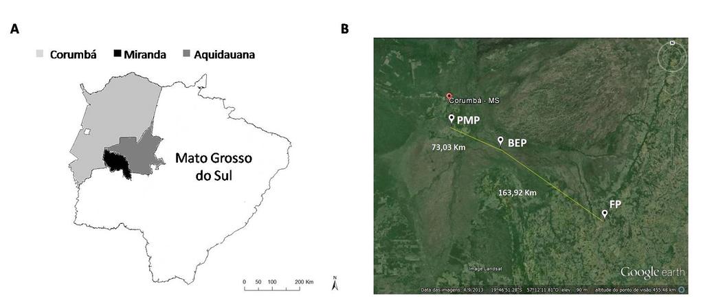 5 hidrológico bastante complexo, com muita variação entre anos e entre regiões do Pantanal (PCBAP 1997).