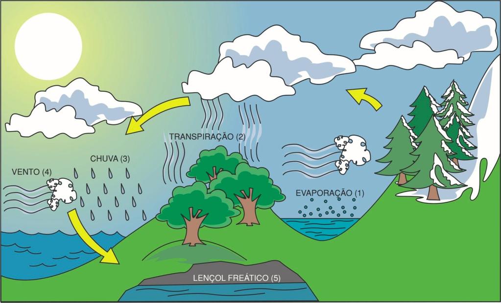 Ciclo Hidrológico Física Clima