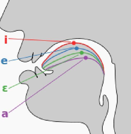 ALFABETIZAÇÃO PELO MÉTODO FÔNICO O método fônico é um método de alfabetização que primeiro ensina os sons de cada letra e então constrói a mistura destes sons em conjunto para alcançar a pronúncia