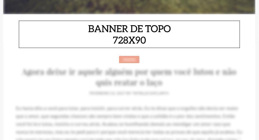 Banner de topo: banner estático localizado acima dos posts Publieditorial: publicação editorial que fica no topo do blog por 24
