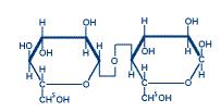 Celulose!