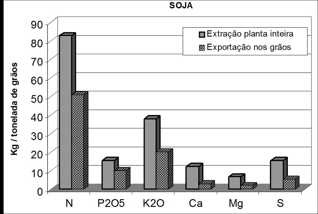 Extração e Exportação de