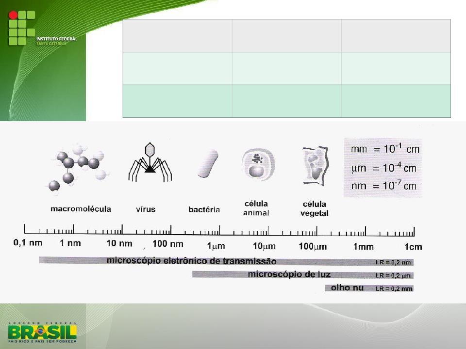 Unidade de medida Micrômetro Nanômetro