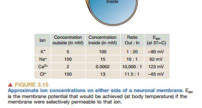 extracelular e o