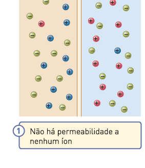 forma desigual dos