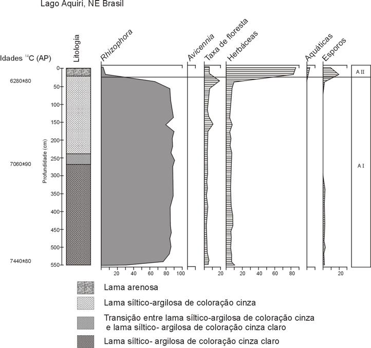 sedimentológicos, mineralógicos e geoquímicos. Datações 14 C foram obtidas em três níveis do testemunho: base, meio e próximo ao topo.