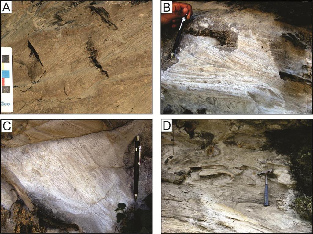 36 Figura 10 Arenitos com deformação penecontemporânea. (Sd). A - C) Detalhe de Ripples cavalgantes deformadas. D) Arenito com estratificação cruzada hummocky deformada.