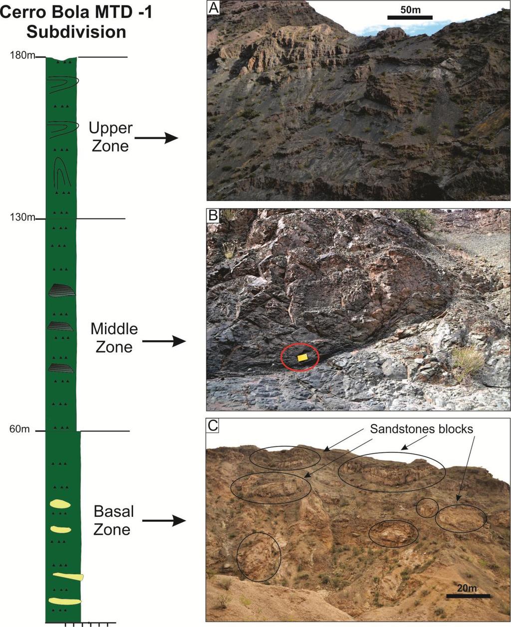 55 Figure 4 Internal subdivision of MTD-1 from Cerro Bola, Argentina. A) Upper zone marked by intense folding and deformation. B) Deformed rhythmite block in the middle zone.