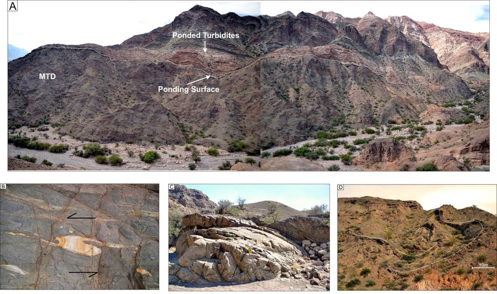 Figure 5 - Ponding surface and strain features. A) Outcrop view of the upper topography from the MTD. Ponded turbidites lies over the cohesive flow.