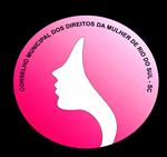 REGIMENTO INTERNO Conselho Municipal dos Direitos Da Mulher CAPÍTULO I DA INSTITUIÇÃO, ATRIBUIÇÕES E COMPETÊNCIAS. Art.