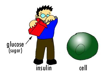 Resistência à insulina