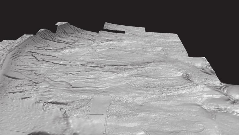 GEOLOGIA E GEOMORFOLOGIA 47 Plataforma Continental Talude Continental Platô de São Paulo Cristas Falhadas de Diápiros de Sal em Subsuperfície Complexo de Cicatrizes Semicirculares 5 km Leques de