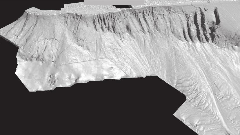 GEOLOGIA E GEOMORFOLOGIA 63 Quebra da Plataforma Cânions do Grupo Sul-Sudeste Cicatriz de Descascamento Complexo de Ravinas Platô de São Paulo 5 km Leques de Fluxo de Detritos Grupo Sudeste de