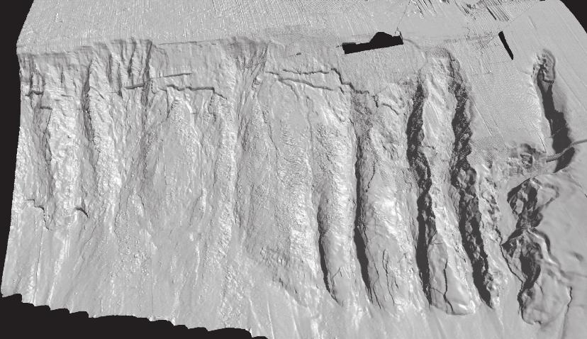 Imagem 3D em perspectiva do relevo sombreado do fundo do mar da região sul da Bacia de Campos (exagero vertical 5, iluminação de norte, escala varia de acordo com a profundidade na imagem).