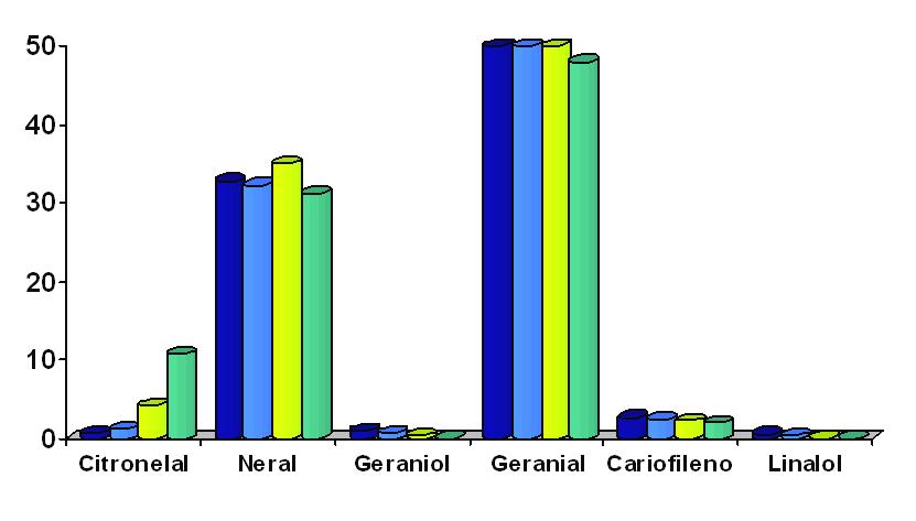 556 Tabela 6. Porcentagem relativa média (%) de constituintes encontradas no óleo essencial de folhas de Melissa officinalis L.