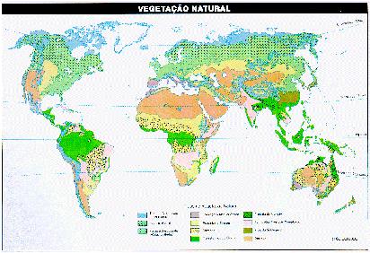Mapa da Vegetação Natural