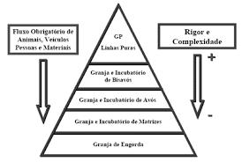 Bioseguridade Fonte: