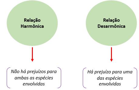 Figura 4 Tipos de relações ecológicas Fonte: Fundação Bradesco Relações Intraespecíficas Harmônicas Conforme vimos, nesse tipo de interação ecológica, indivíduos de mesma espécie se relacionam,