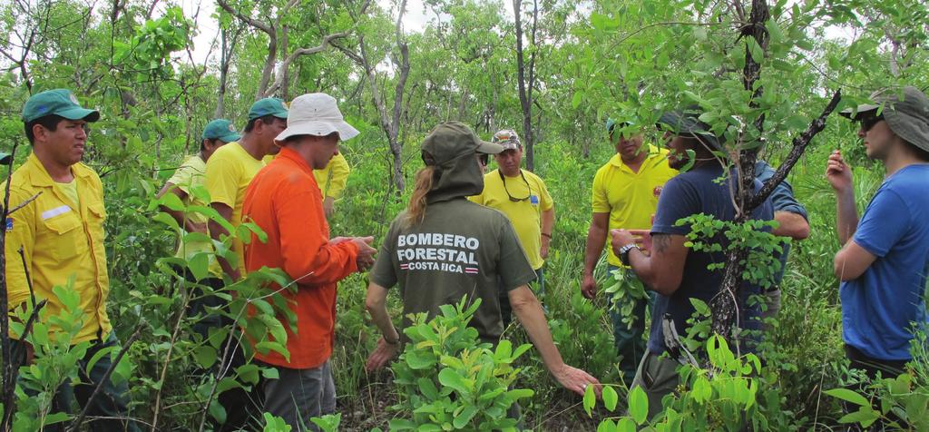 Etapa de avaliação das atividades de Manejo Integrado do Fogo em 2015 é realizada em Unidades de Conservação e Terra Indígena 11/2015 Entre os dias 16 e 28 de novembro, a etapa de avaliação das