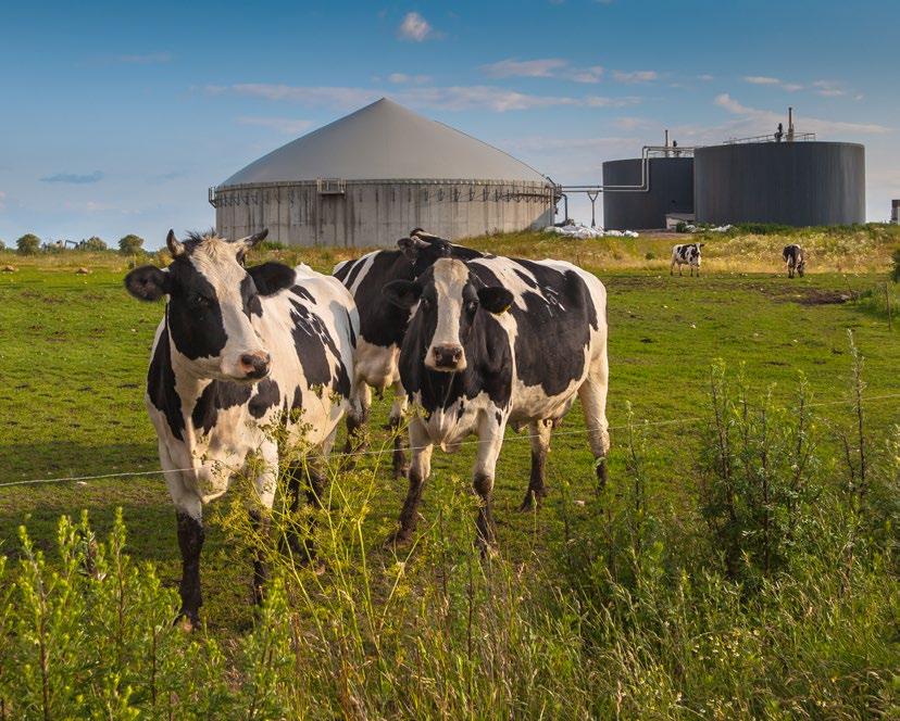 O BIOGÁS DO AGRONEGÓCIO: TRANSFORMANDO O PASSIVO AMBIENTAL EM ATIVO ENERGÉTICO E