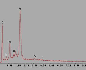 Na figura 22 é apresentada uma fotomicrografia do resíduo do SPL moído, onde são observadas as partículas de carbono (grafite) sempre impregnadas com os contaminantes do